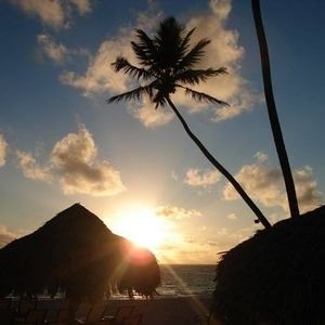 Meet your Posher, Chrissy